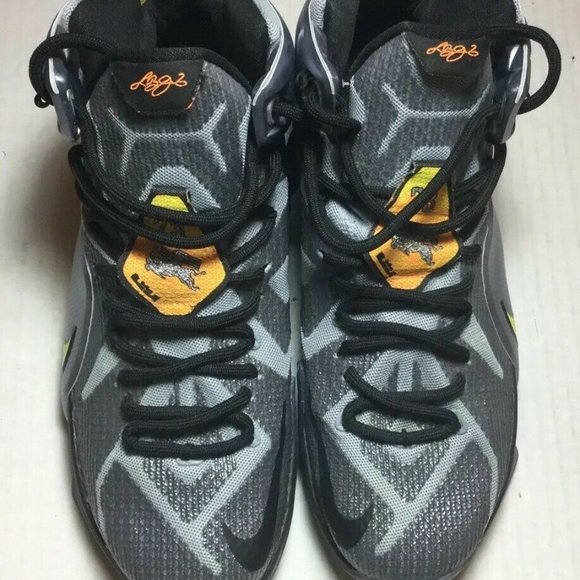 Nike lebron 12 \